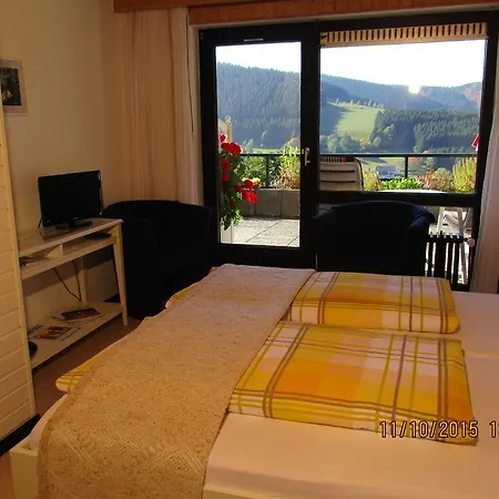 Pension Altenbeck & Ferienwohnung Winterberg Room photo